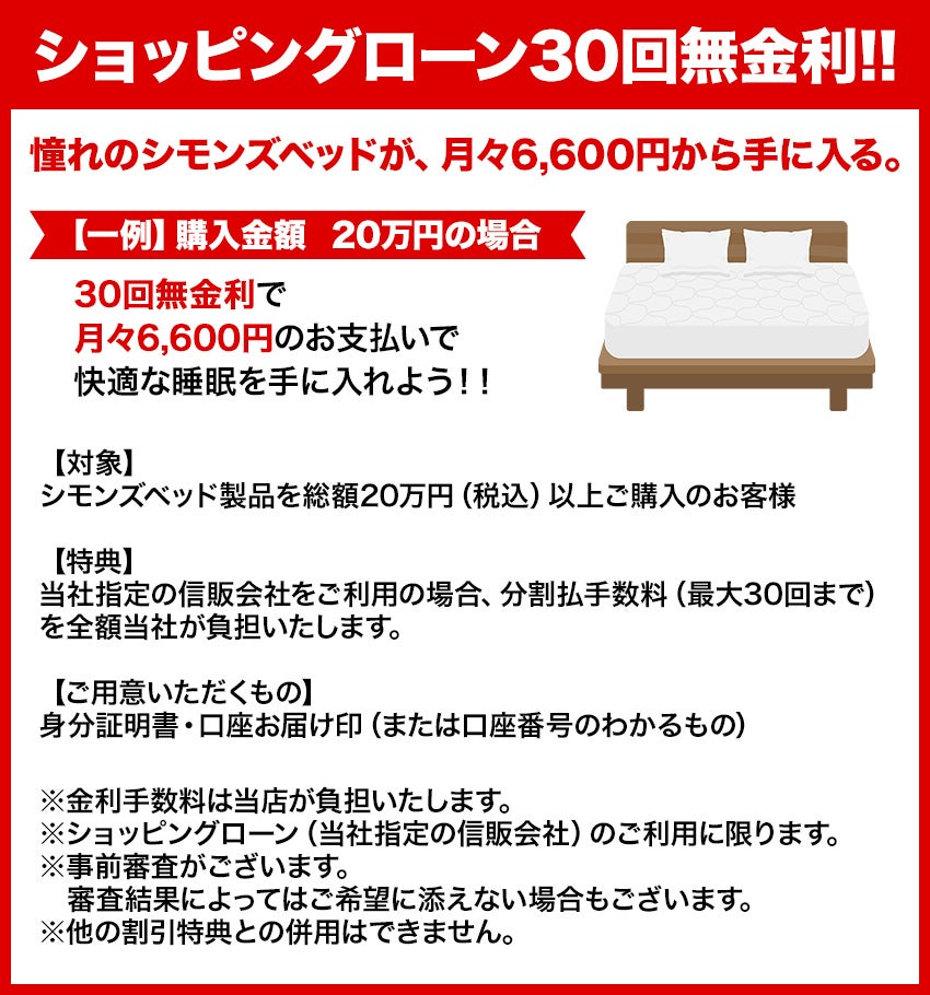 ショッピングローン30回無金利