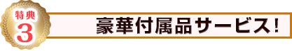 豪華付属品サービス！