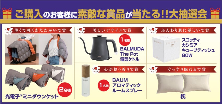 ドリームベッド