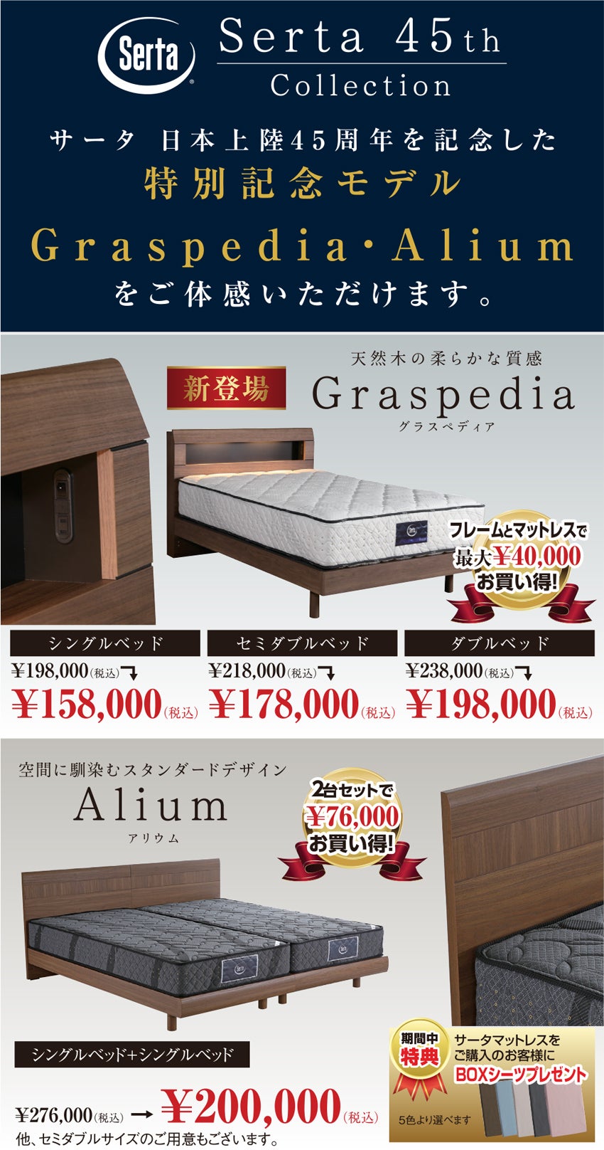 ドリームベッド