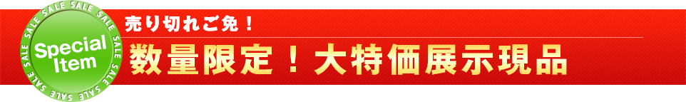 チラシ特価品
