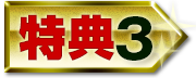 特典3