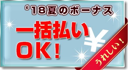 ボーナス払い一括払いOK