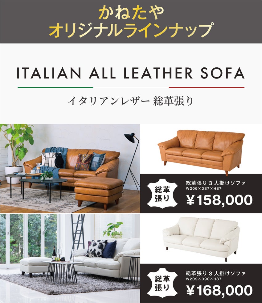展示アイテム
