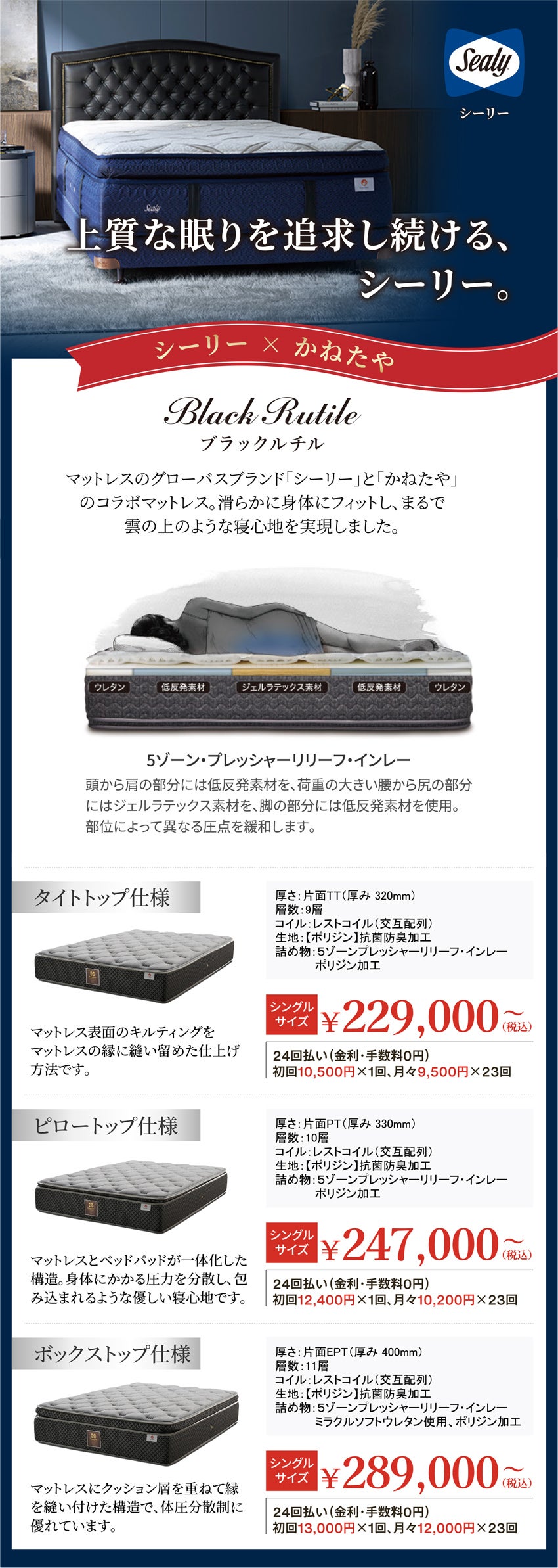 展示アイテム