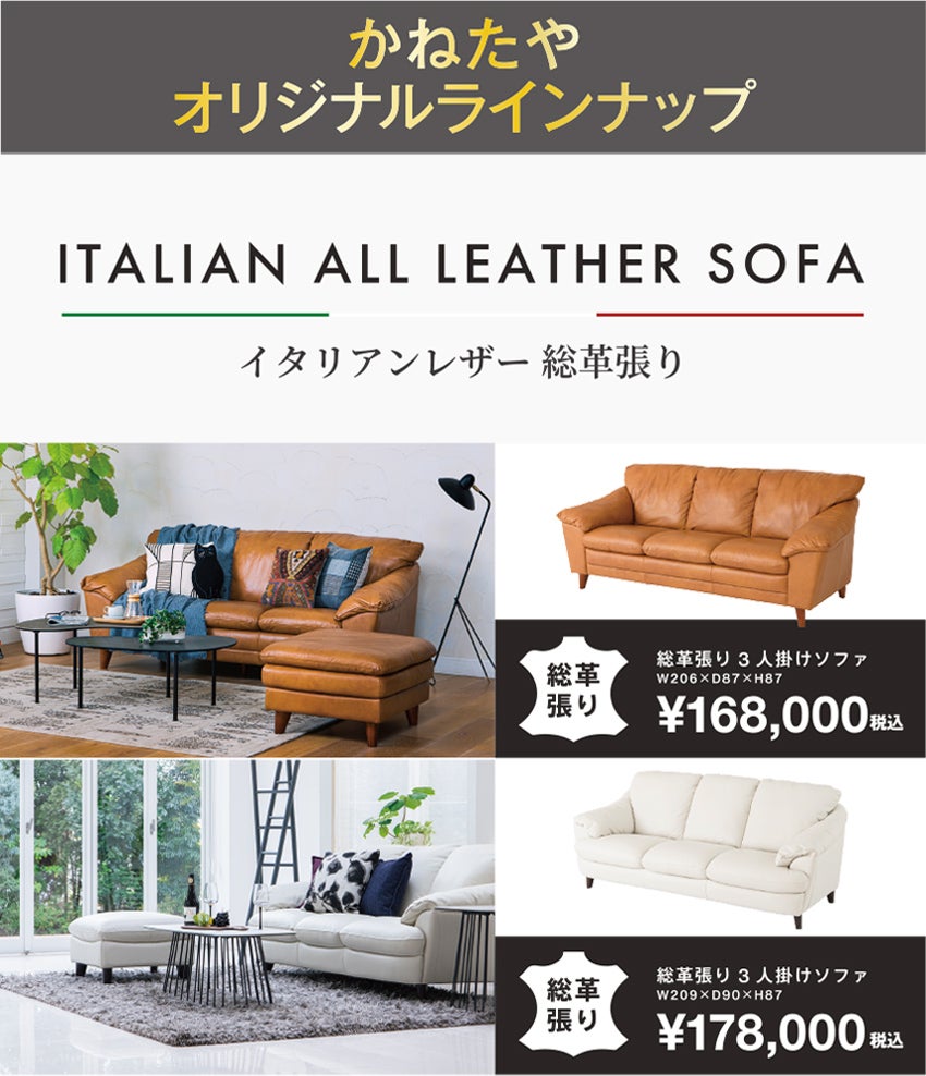 展示アイテム
