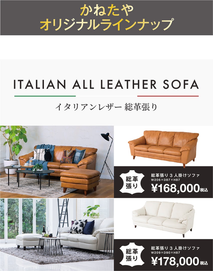 展示アイテム