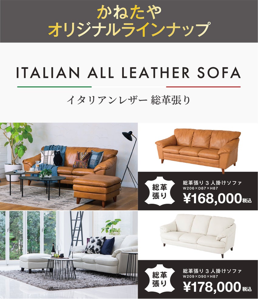 展示アイテム