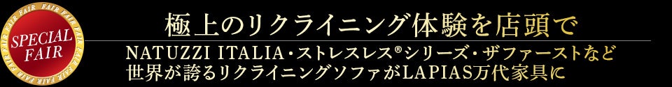 展示ブランド