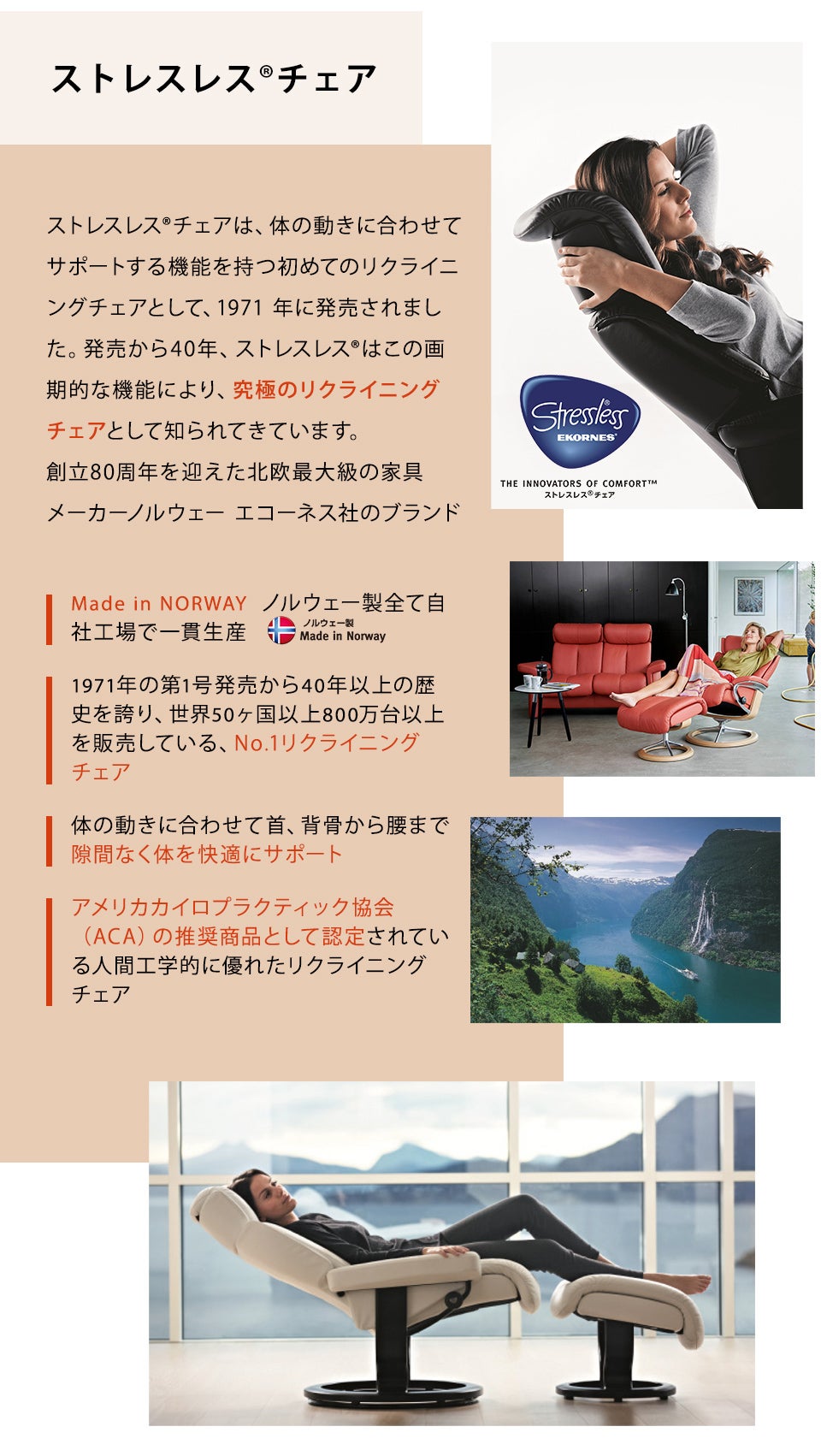 展示ブランド