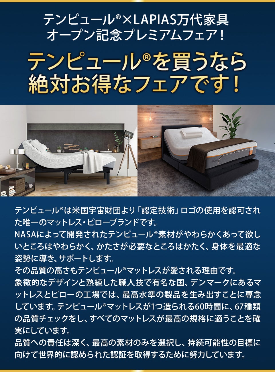 概要