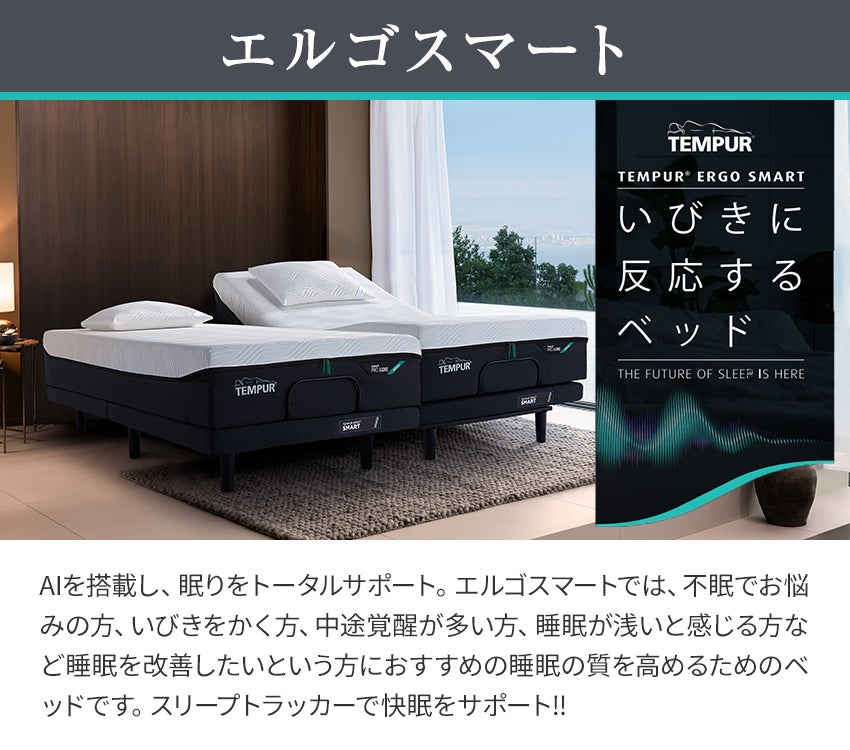 エルゴスマート