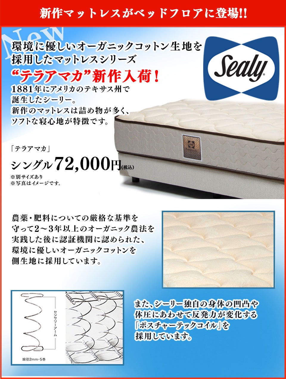 新作マットが登場