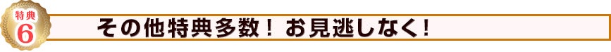 その他特典多数！お見逃しなく！