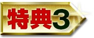 特典3