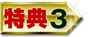 特典3