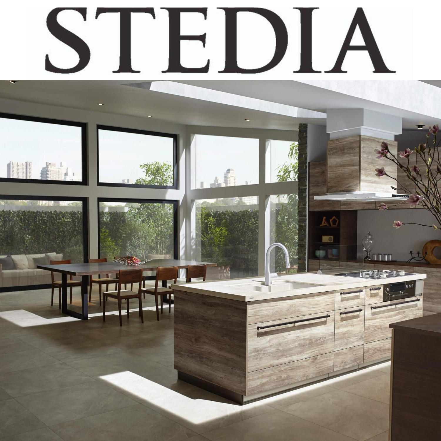 STEDIA-ステディア-