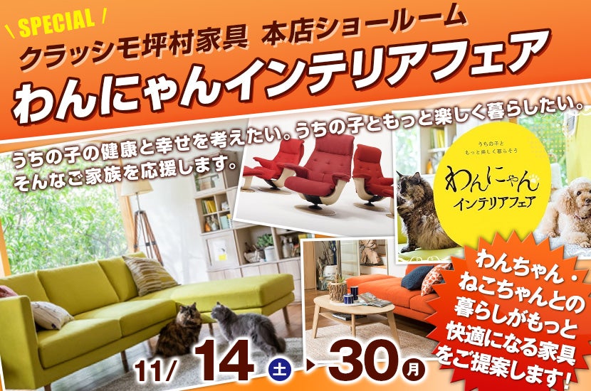 わんにゃんインテリアフェア in クラッシモ坪村家具