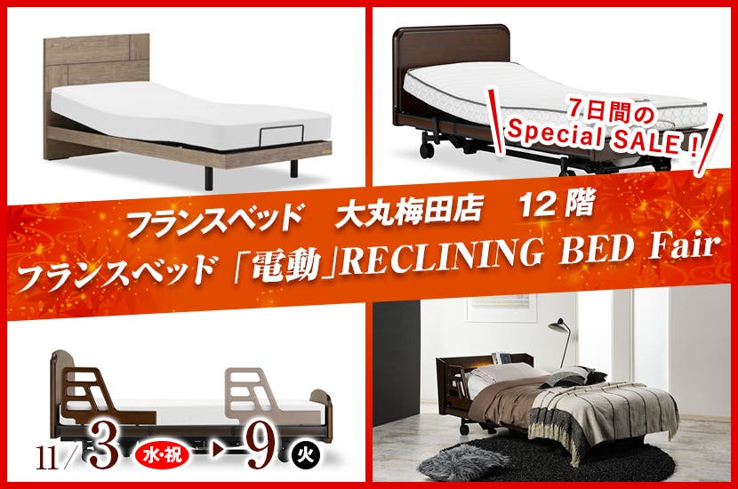 フランスベッド 「電動」RECLINING BED Fair 