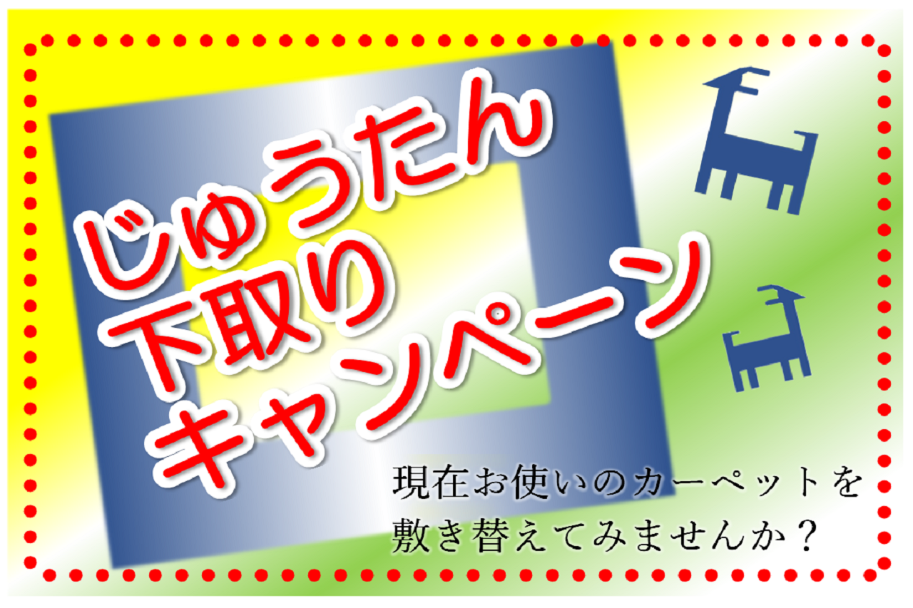 下取りとして、今回ご購入いただくギャベより30％のお値引き！