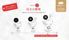 nishikawaショウルーム福岡 イベントのイメージ1