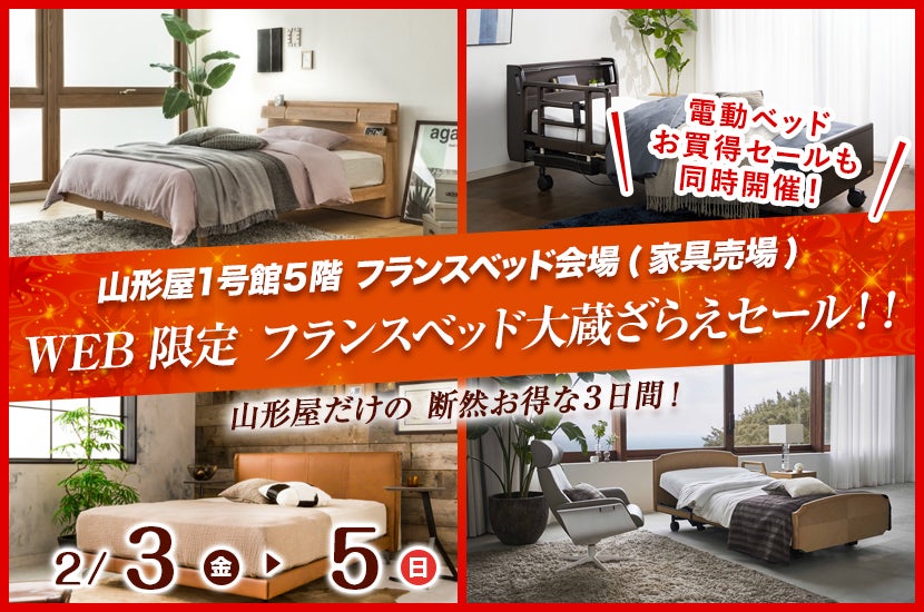WEB限定 フランスベッド大蔵ざらえセール !!