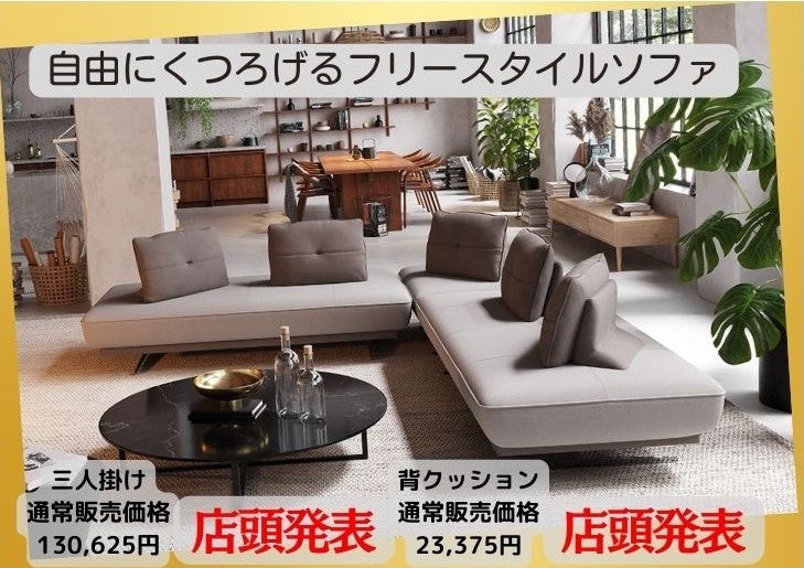 新登場のフリースタイルソファもぜひこの機会に！