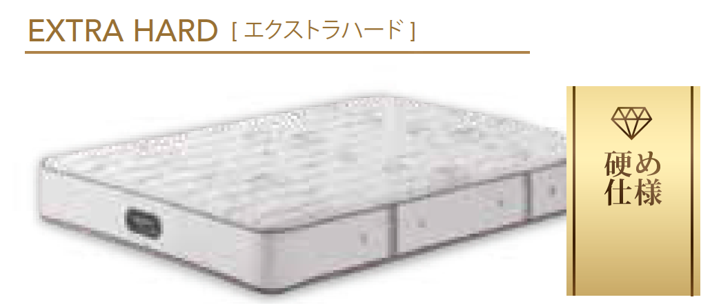エクストラハード