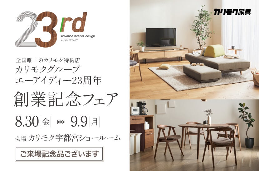0606様 専用 ソファベッド エーアイディー23周年 創業記念フェア