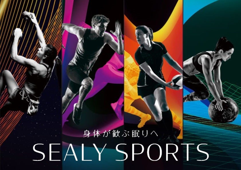 人気商品「シーリースポーツマットレス」