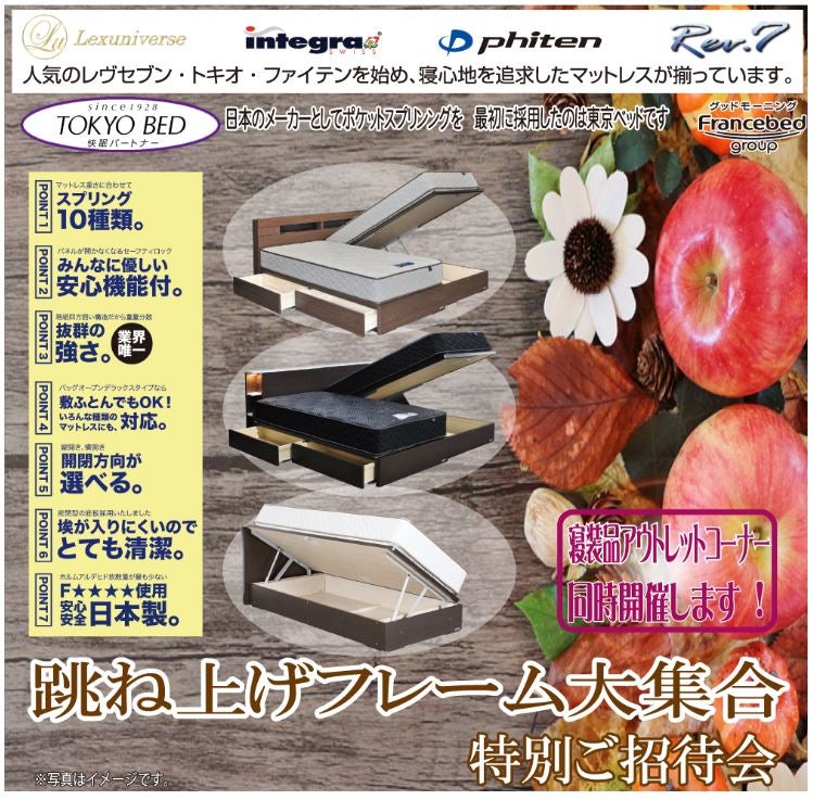 跳ね上げフレーム大集合、特別ご招待会