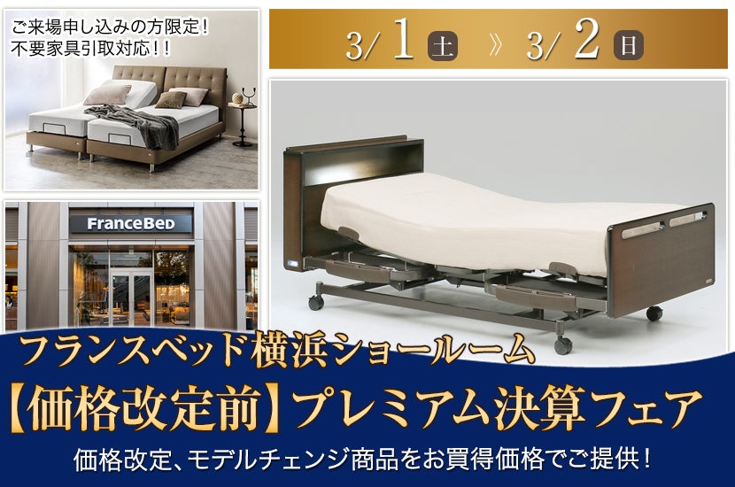 フランスベッド 電動ベッドセット レステックス-02FN 【公式通販】