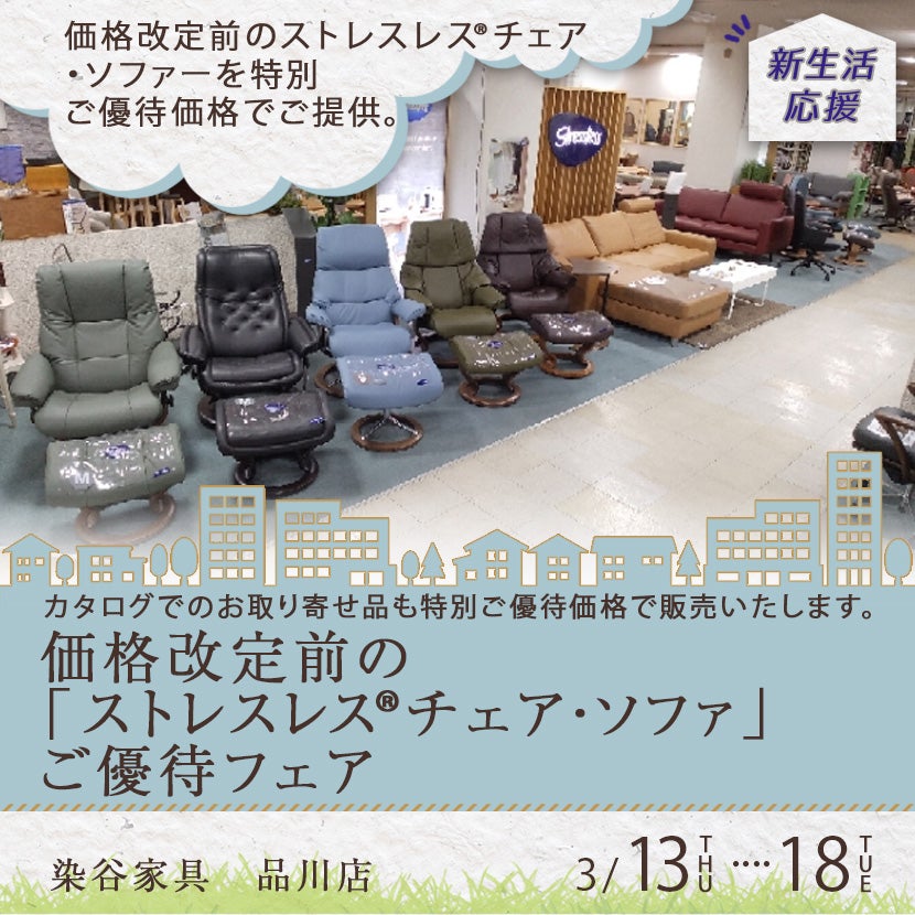展示品 エコーネス「ストレスレスビュー」Mサイズ 見直し 1P 展示品 エコーネス「ストレスレスビュー」Mサイズ 見直し 1P