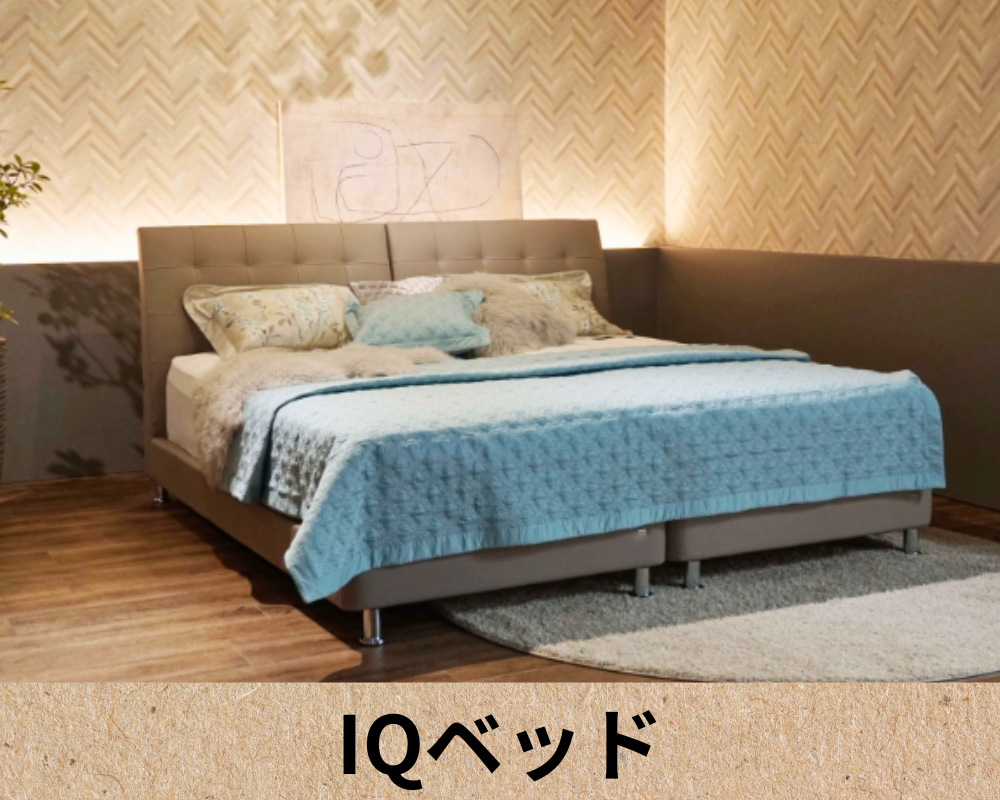 IQアシュフォード