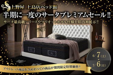 半期に一度のサータプレミアムセール‼