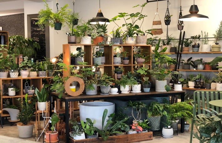 400点以上のグリーンを展示！