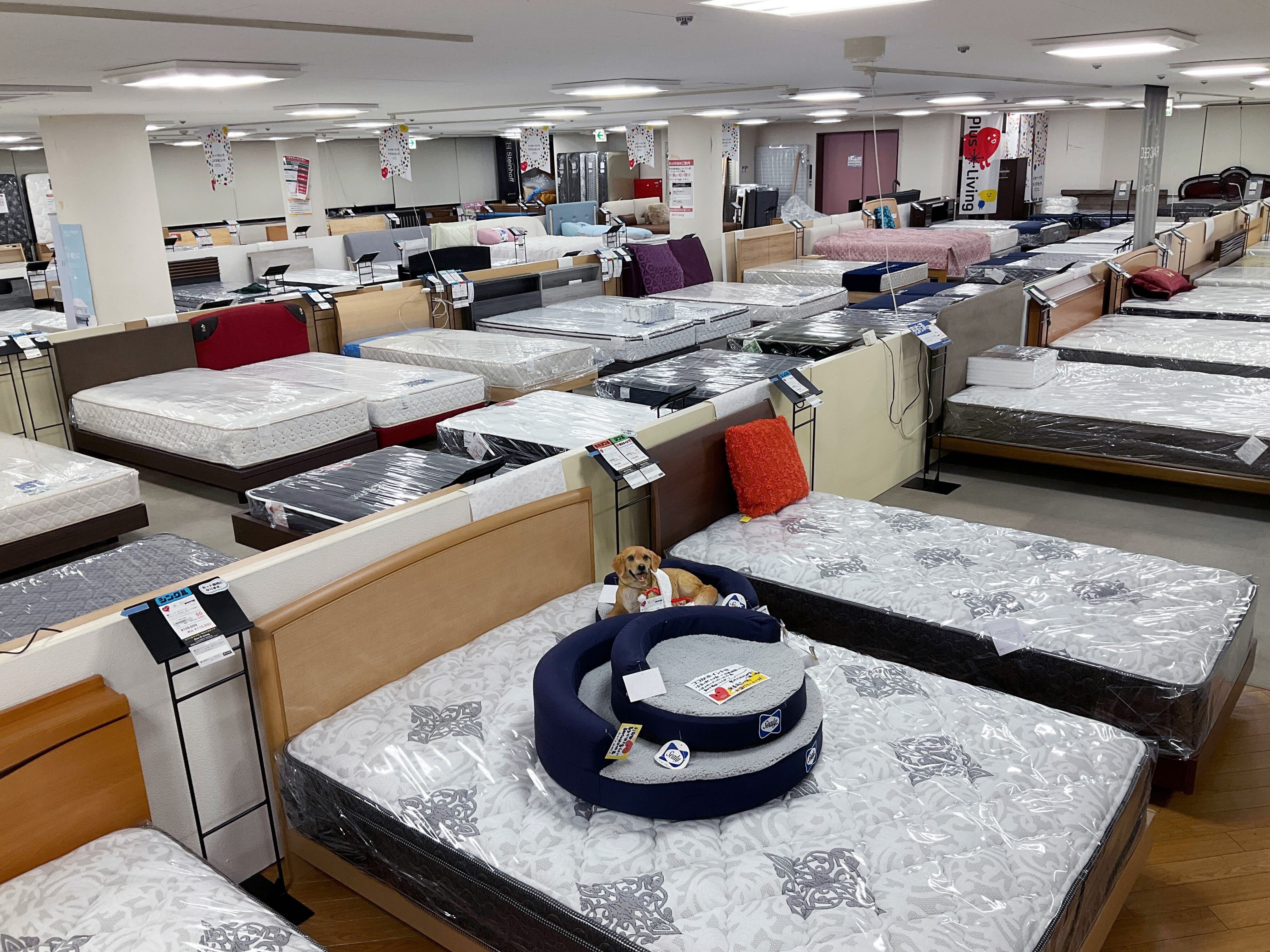 【一流ベッドメーカー】廃番品 が大量入荷