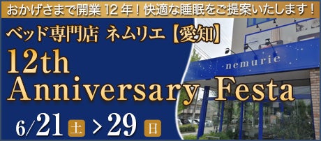 12th Anniversary Festa