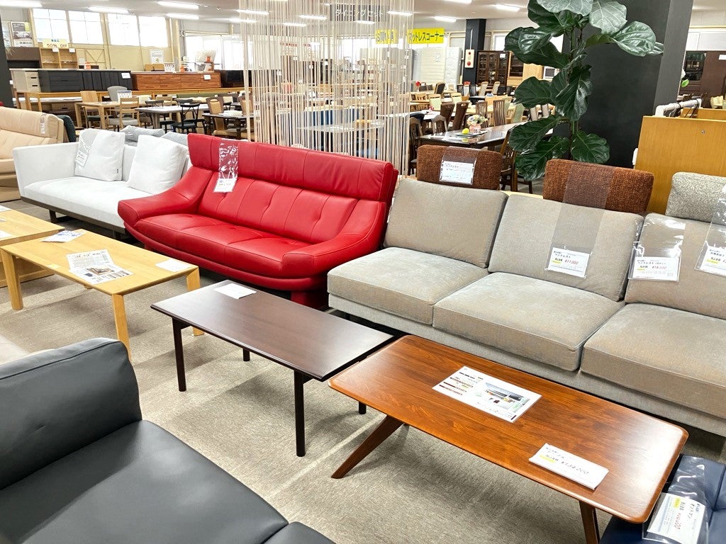 ここでしかご覧になれない、アウトレット限定モデルもございます。
（品切れの際はご容赦下さい）