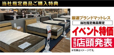 豊富な専門知識や資格をもったインテリアのプロにお任せください。