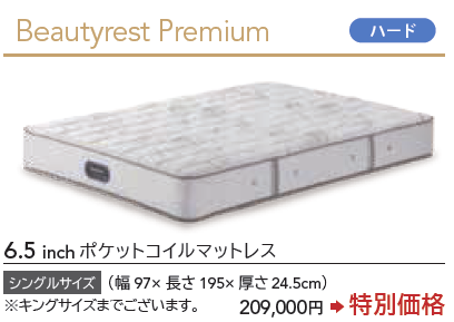 6.5インチプレミアムシリーズ