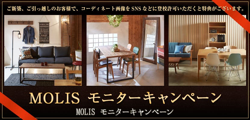 MOLIS モニターキャンペーン