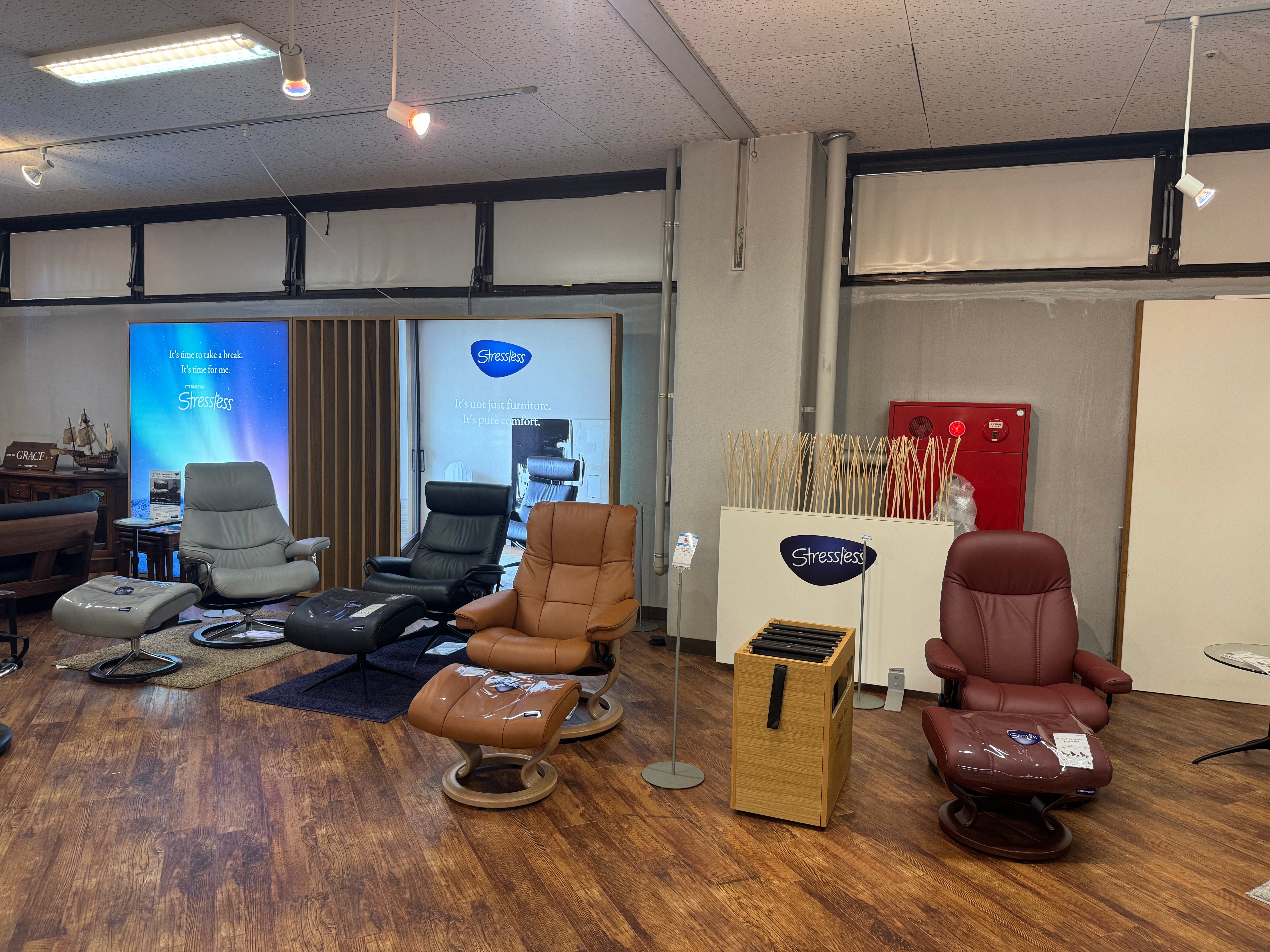 様々なモデルを展示中！