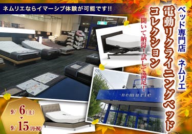電動リクライニングベッドコレクション