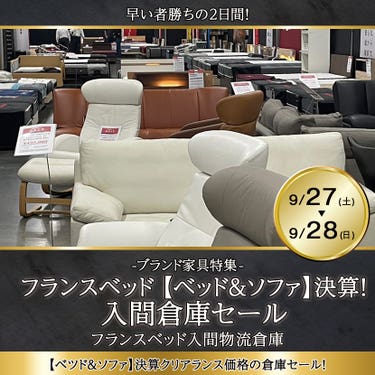 フランスベッド 【ベッド＆ソファ】決算！入間倉庫セール