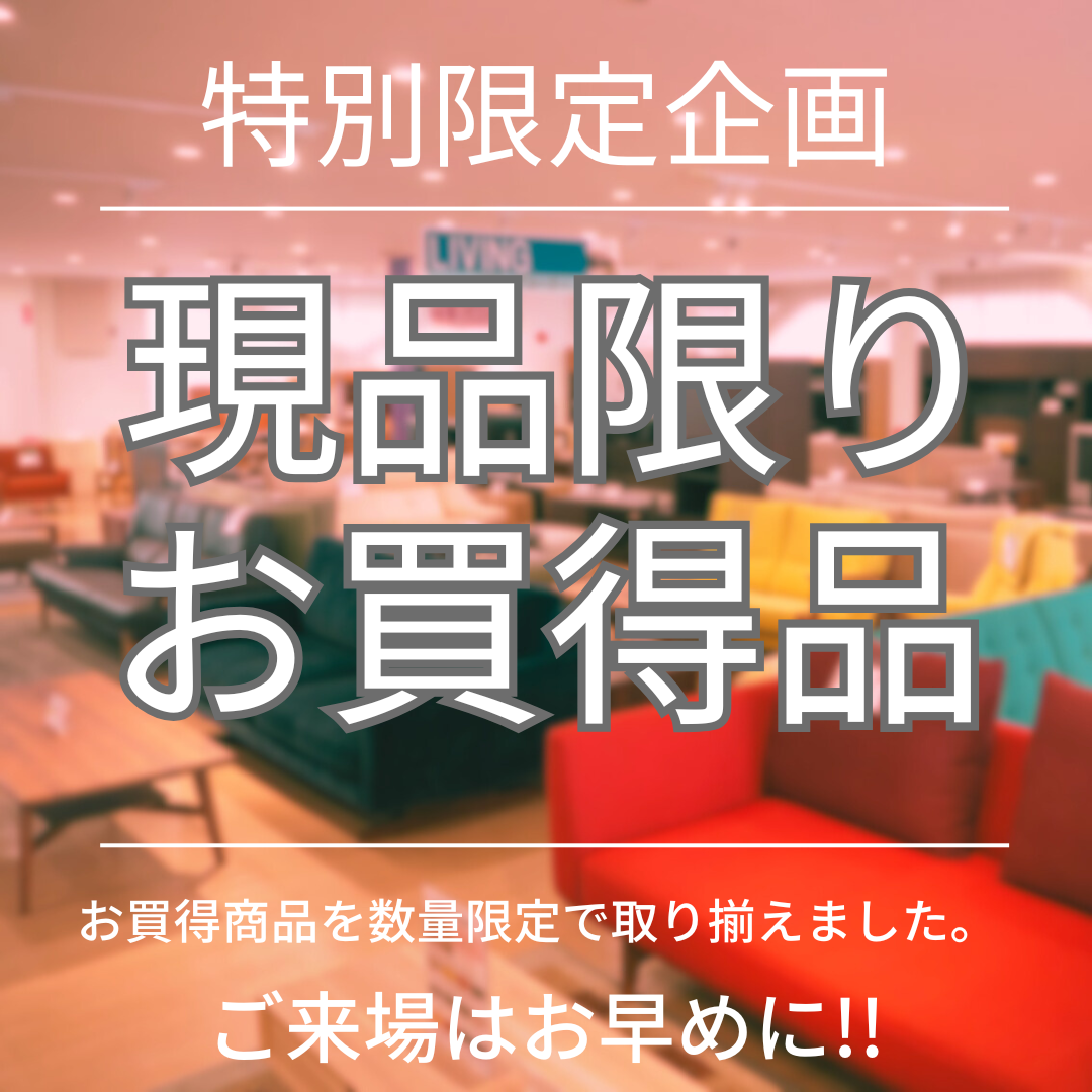 特別限定企画!!