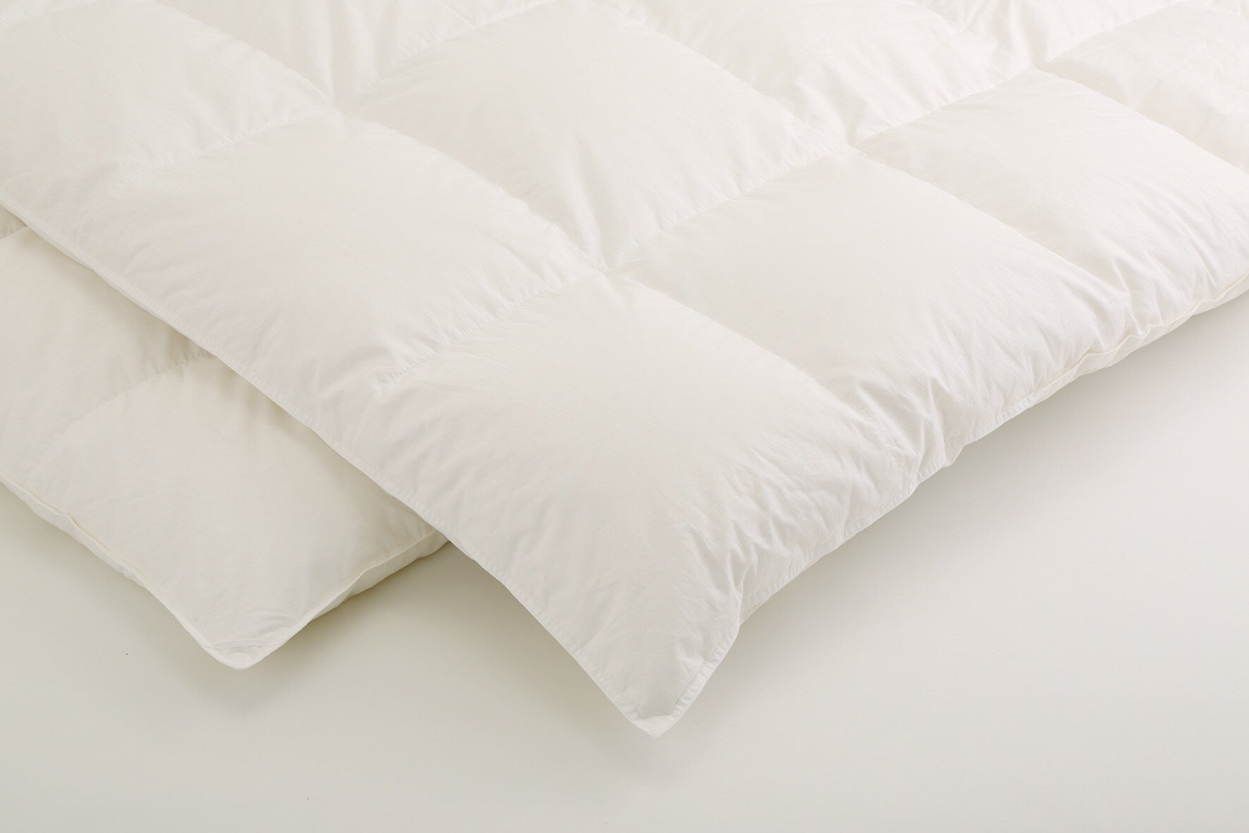 今シーズンから使える！