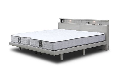 ペット屋浅吉様 東急百貨店吉祥寺店】Sealy Bedフェア 10/8(水)～10/17(金