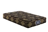 サータ　トラディション　ノーマル