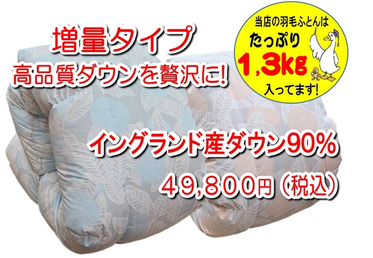 日本製の羽毛ふとんがお買い得に!
イングランド産ダウン９０%
さらにダウンがたっぷり１.３㎏
(SL) ４９,８００円（税込